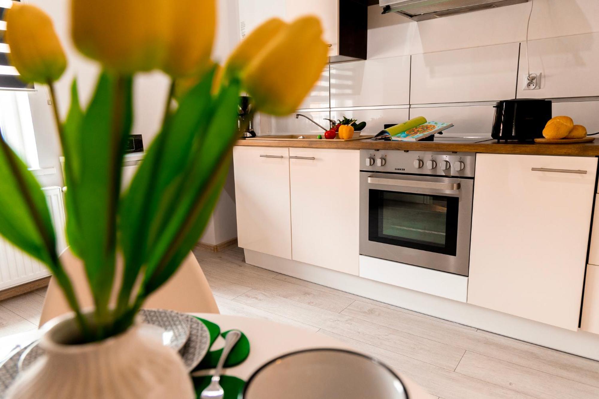 Apartment Zieleniec-julia 3 Duszniki Zdroj